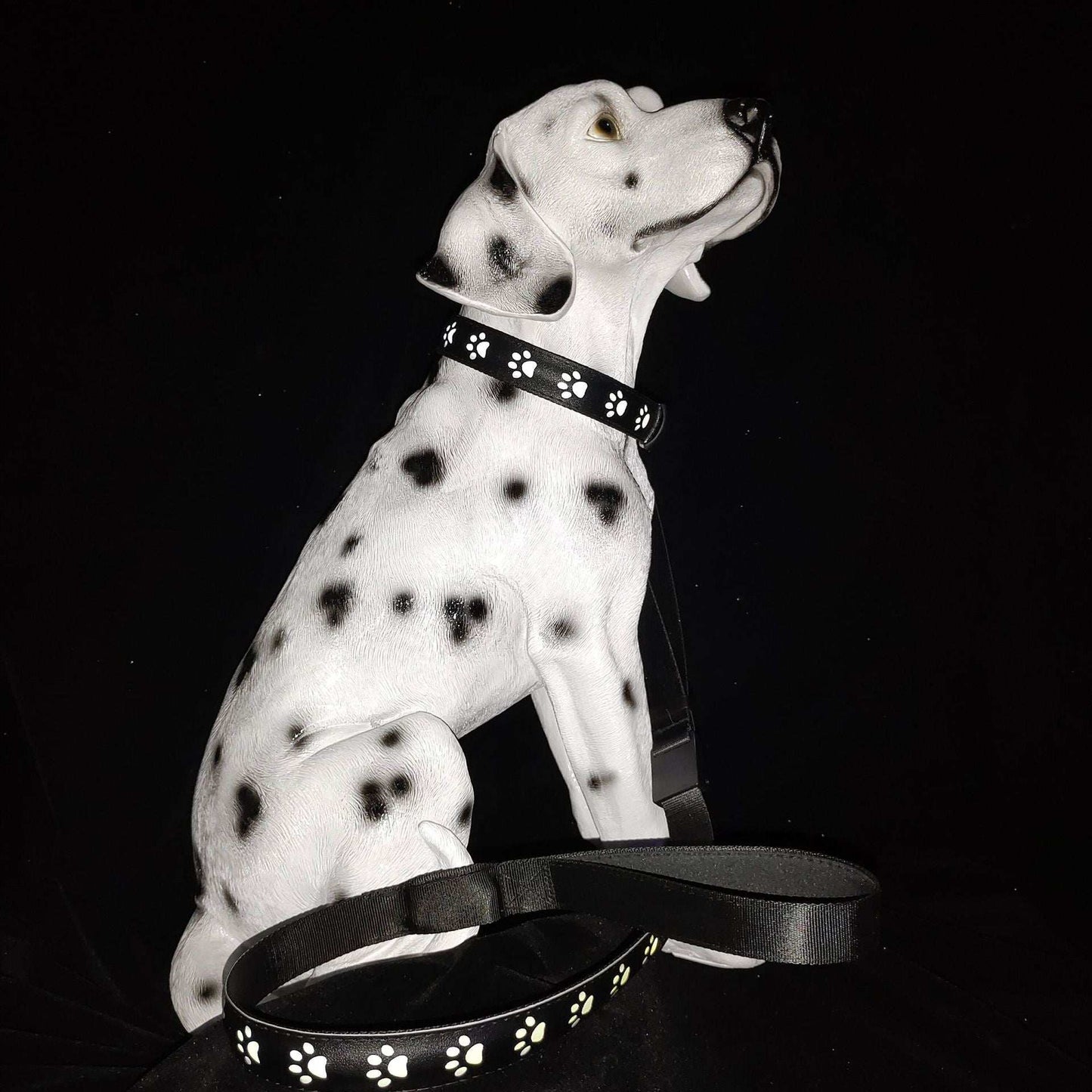 LED Dog Collar - 7 Color Luminous Paw Print USB Rechargeable - Purrfect Pet Haven