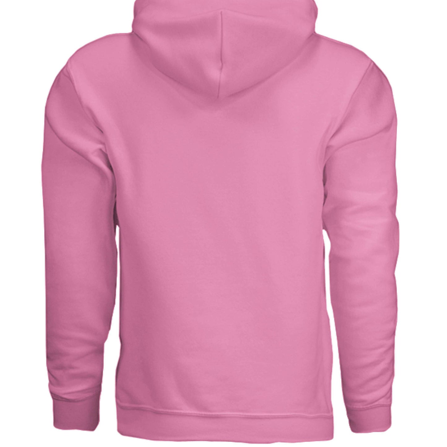 Teaching My Boos Hoodie Sweatshirt - Teacher Halloween Style - Purrfect Pet Haven