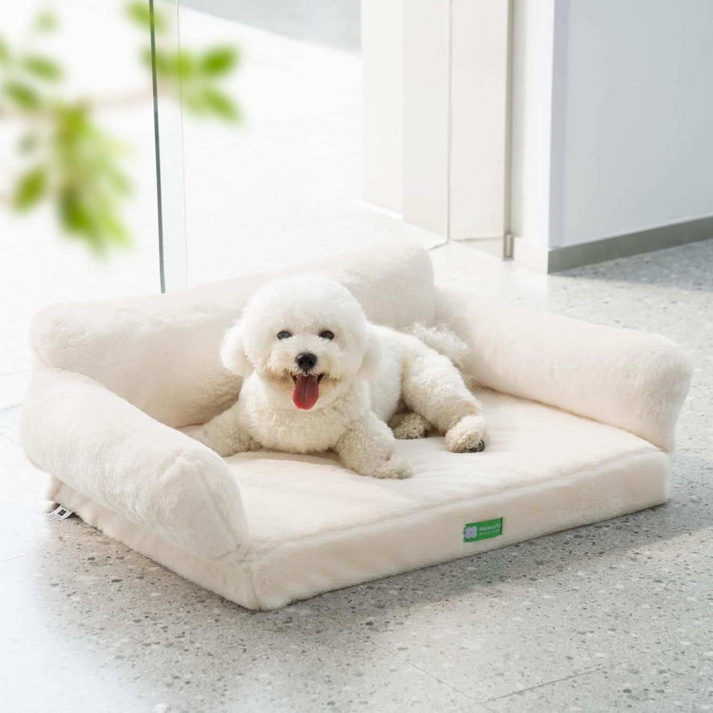 Small white dog resting on a cream orthopedic egg foam sofa pet bed by Printify