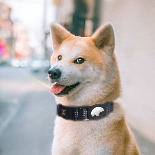 Smart Dog Bark Collar - Rechargeable & Adjustable
