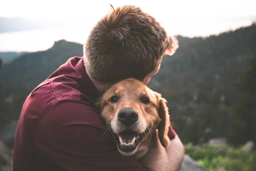 Fun Activities to Bond with Your Pet