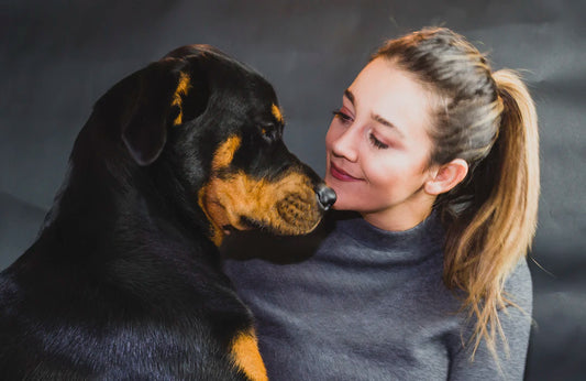 The Heartwarming Role of Pets in Mental Health