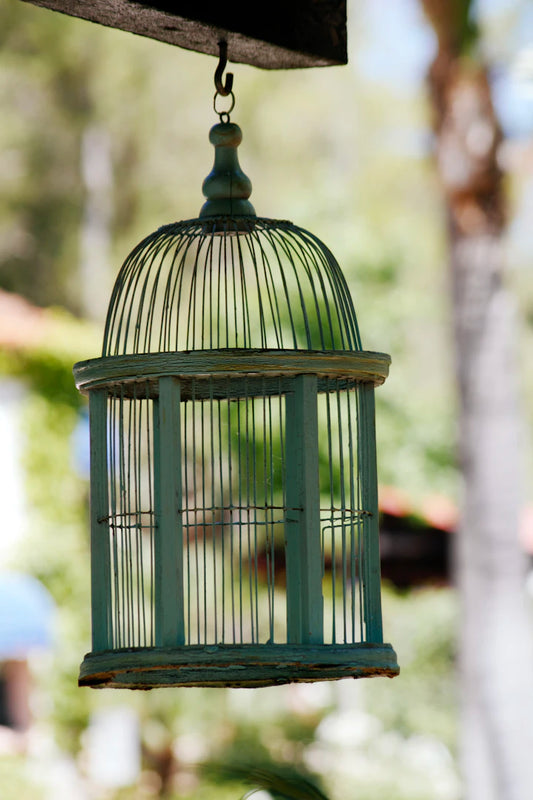 Spacious and Durable Bird Cages for Large Birds