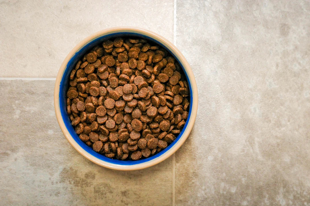 The Importance of Pet Nutrition A Guide for Pet Owners