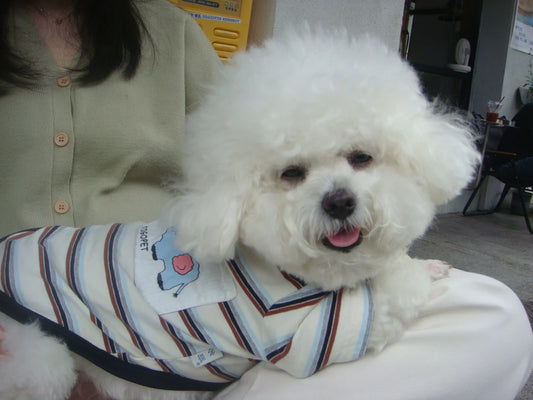 Cozy and Inspirational Apparel for Pet Lovers