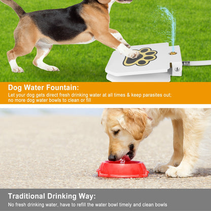 Outdoor Dog Water Fountain - Step-Activated Pedal - Purrfect Pet Haven