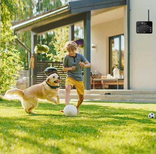 Wireless Dog Fence - Electric Boundary System With Waterproof Collar - Purrfect Pet Haven