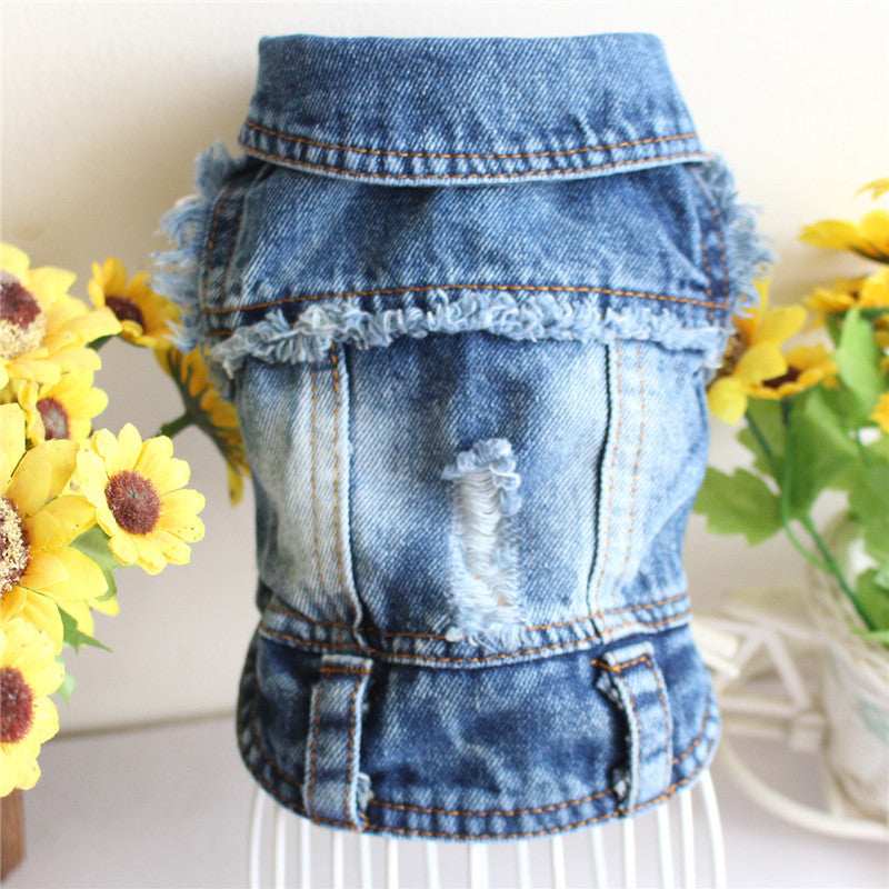 Ripped Fringe Denim Jacket - Full Size Pet Clothes - Purrfect Pet Haven