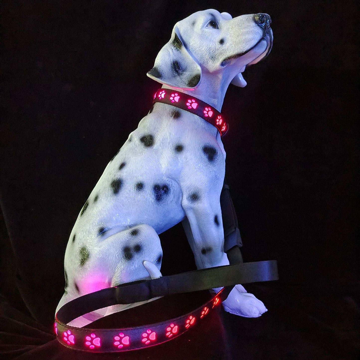 LED Dog Collar - 7 Color Luminous Paw Print USB Rechargeable - Purrfect Pet Haven