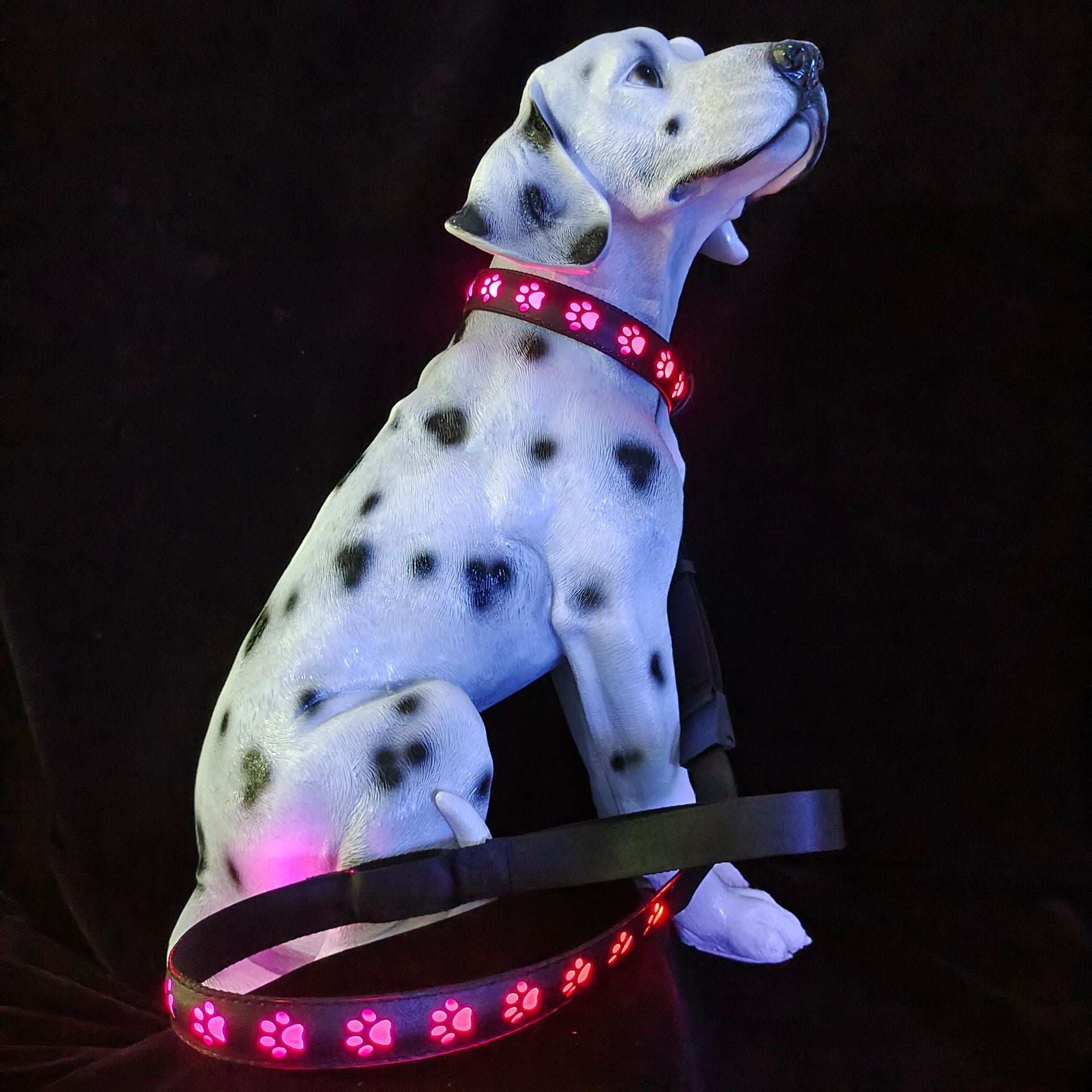 LED Dog Collar - 7 Color Luminous Paw Print USB Rechargeable - Purrfect Pet Haven