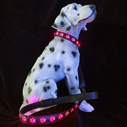 LED Dog Collar - 7 Color Luminous Paw Print USB Rechargeable - Purrfect Pet Haven
