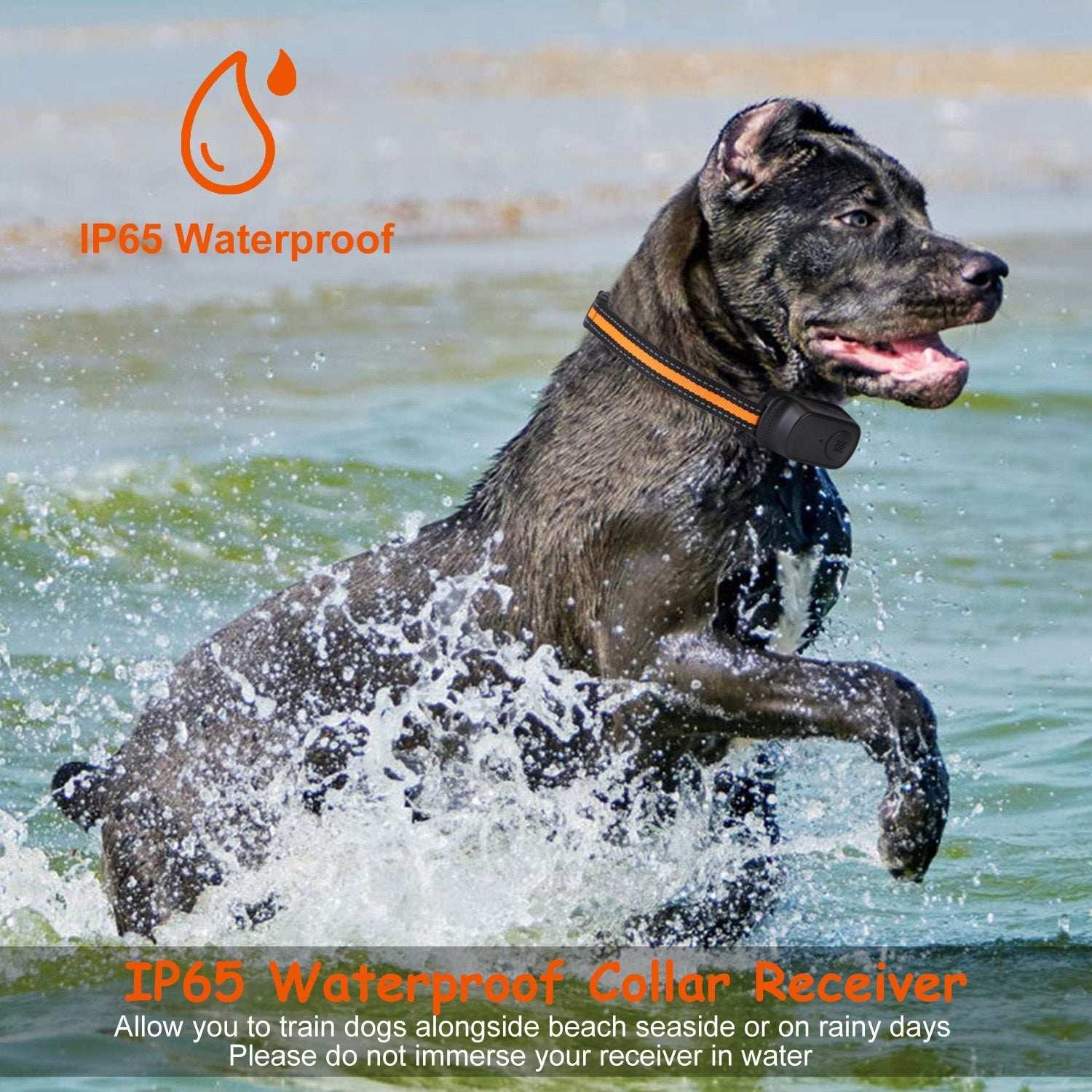 Dog Training Collar - Waterproof Remote With 3 Training Modes - Purrfect Pet Haven