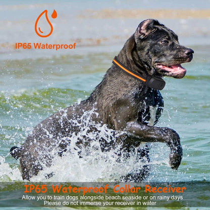 Dog Training Collar - Waterproof Remote With 3 Training Modes - Purrfect Pet Haven