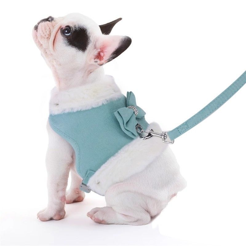 Bow Tie Puppy Harness - Warm Padded Dog Leash Set - Purrfect Pet Haven
