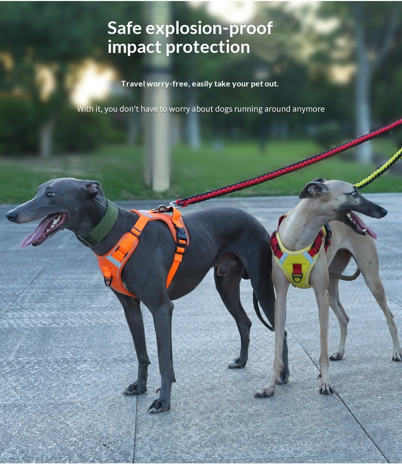 Dog Harness - Large Chest Style with Leash - Purrfect Pet Haven