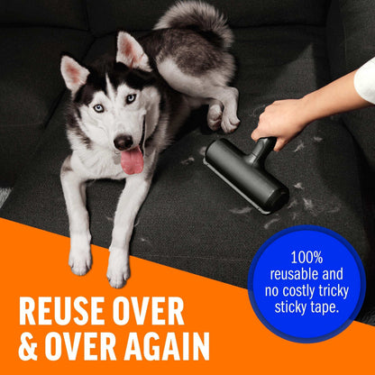 Furniture Pet Hair Remover With Reusable Sticky Applicator - Purrfect Pet Haven