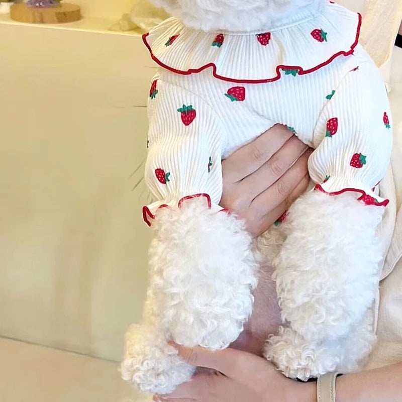 Summer Thin Lace Ruffle Strawberry Pet Cat Dog Clothes - Purrfect Pet Haven