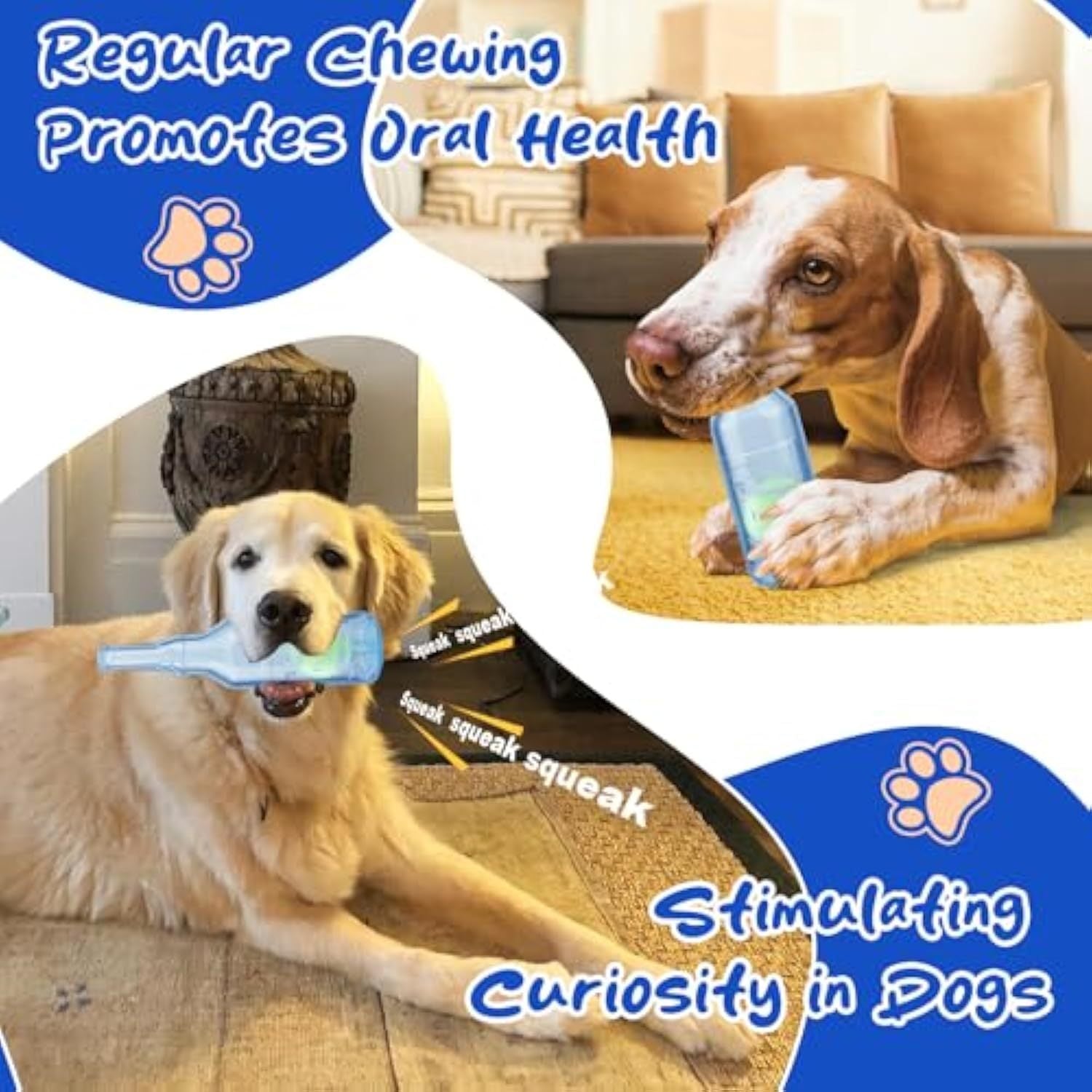 Dog Toy - Water Bottle Squeaky Chew - Purrfect Pet Haven