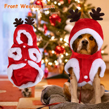 Christmas Santa Reindeer Pet Outfit - 3D Antlers - Purrfect Pet Haven