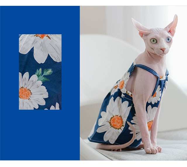 Cat wearing a blue floral dress with a close-up of the fabric pattern on a blue background.