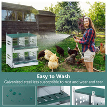 4-Compartment Metal Chicken Nesting Box - Wall Mount - Purrfect Pet Haven