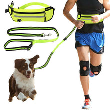 Waterproof Reflective Sports Running Pet Waist Bag with Traction Rope Leash - Purrfect Pet Haven