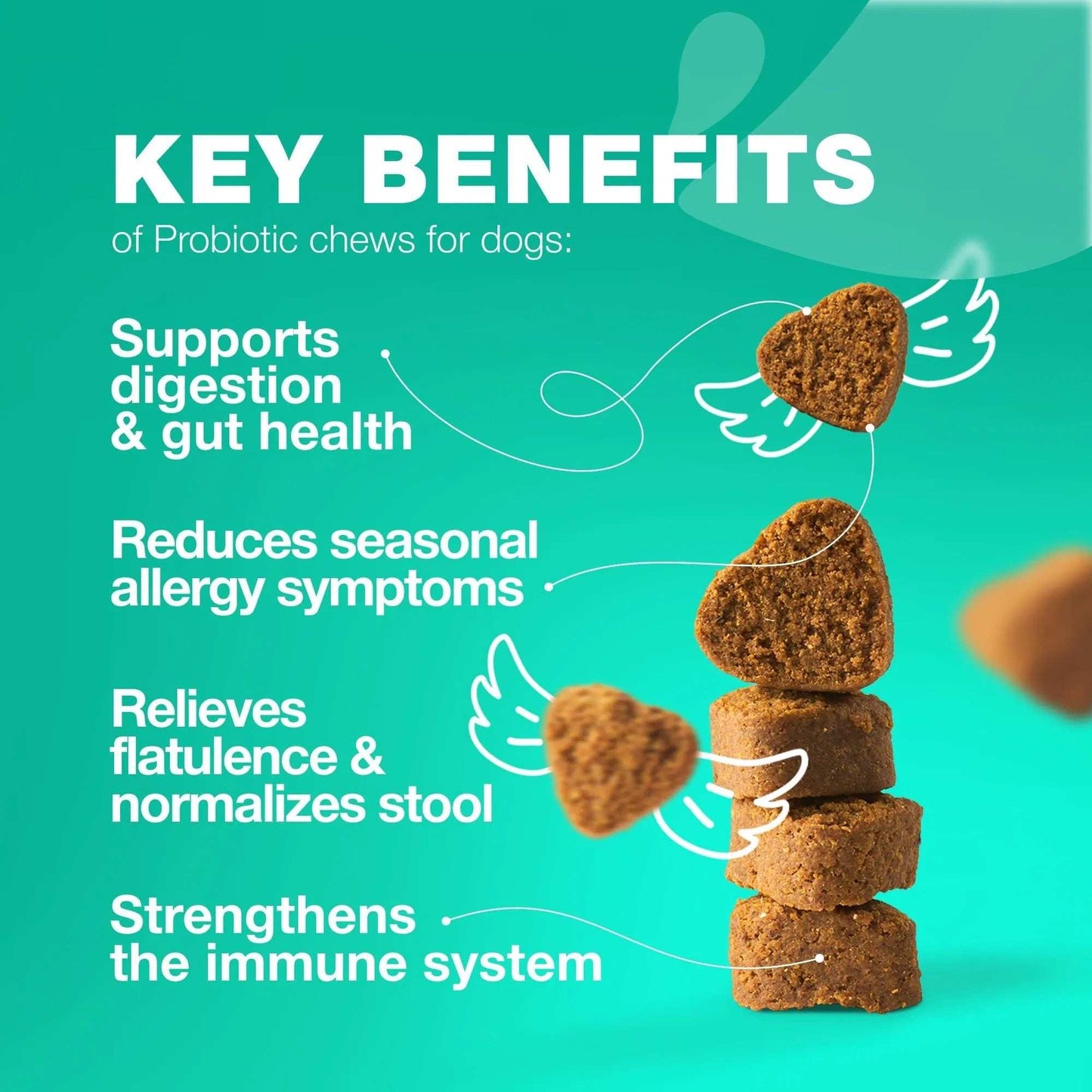 70 Probiotic Chews Support Gut Health, Yeast Balance, Itchy Skin and Allergies For Dogs - Purrfect Pet Haven