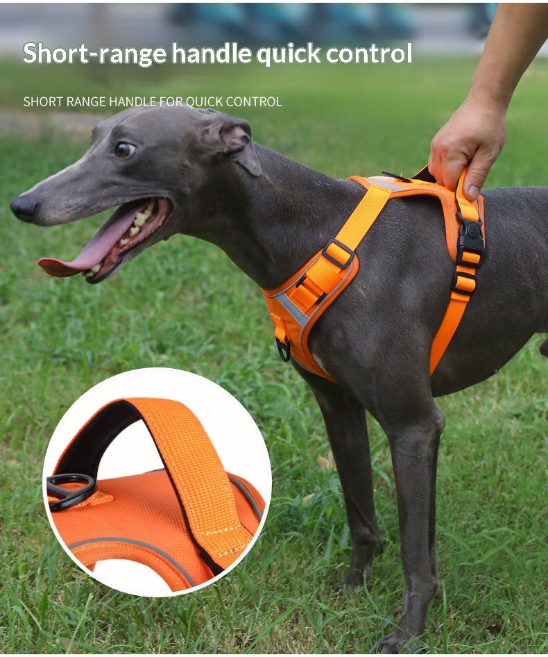 Dog Harness - Large Chest Style with Leash - Purrfect Pet Haven