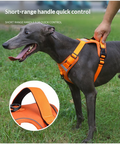 Dog Harness - Large Chest Style with Leash - Purrfect Pet Haven