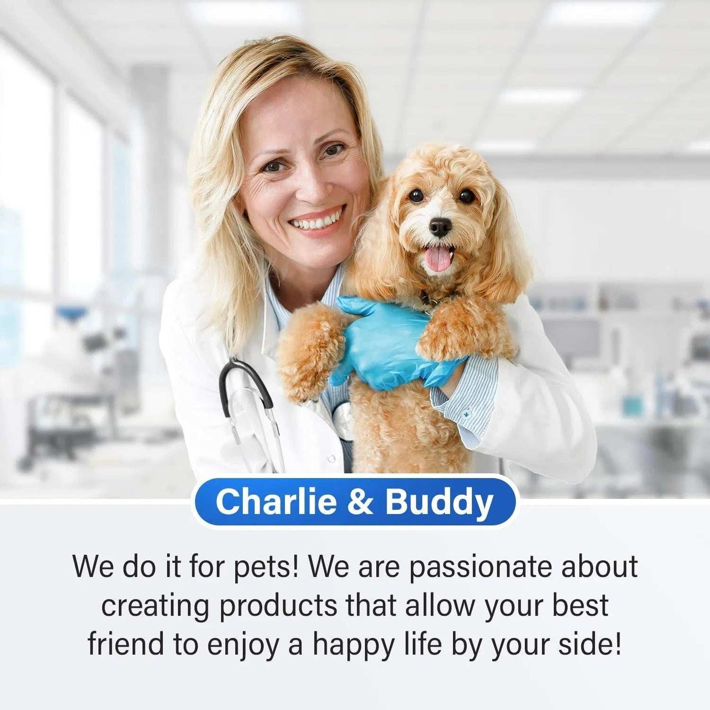 Calming Chews For Dogs Dog Anxiety Relief Promote Relaxation Dog Calming Chews With Melatonin For Dogs Chamomile Magnesium Citrate 90 Soft Chews Chicken Flavor - Purrfect Pet Haven
