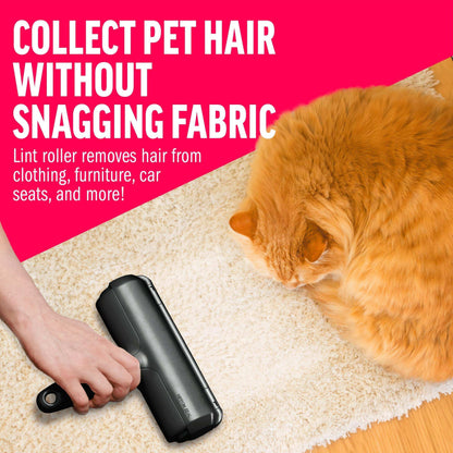 Furniture Pet Hair Remover With Reusable Sticky Applicator - Purrfect Pet Haven