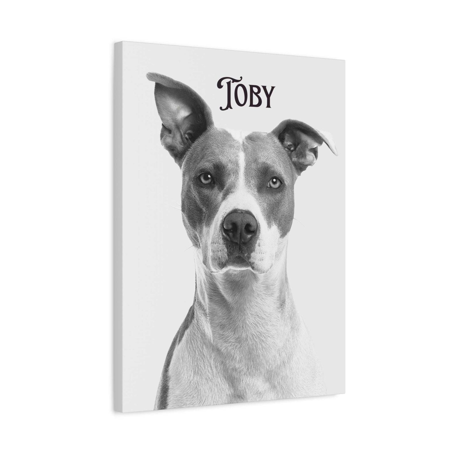 Custom Photo Canvas Print - Stretched Wall Art for Pet Lovers | Purrfect Pet Haven