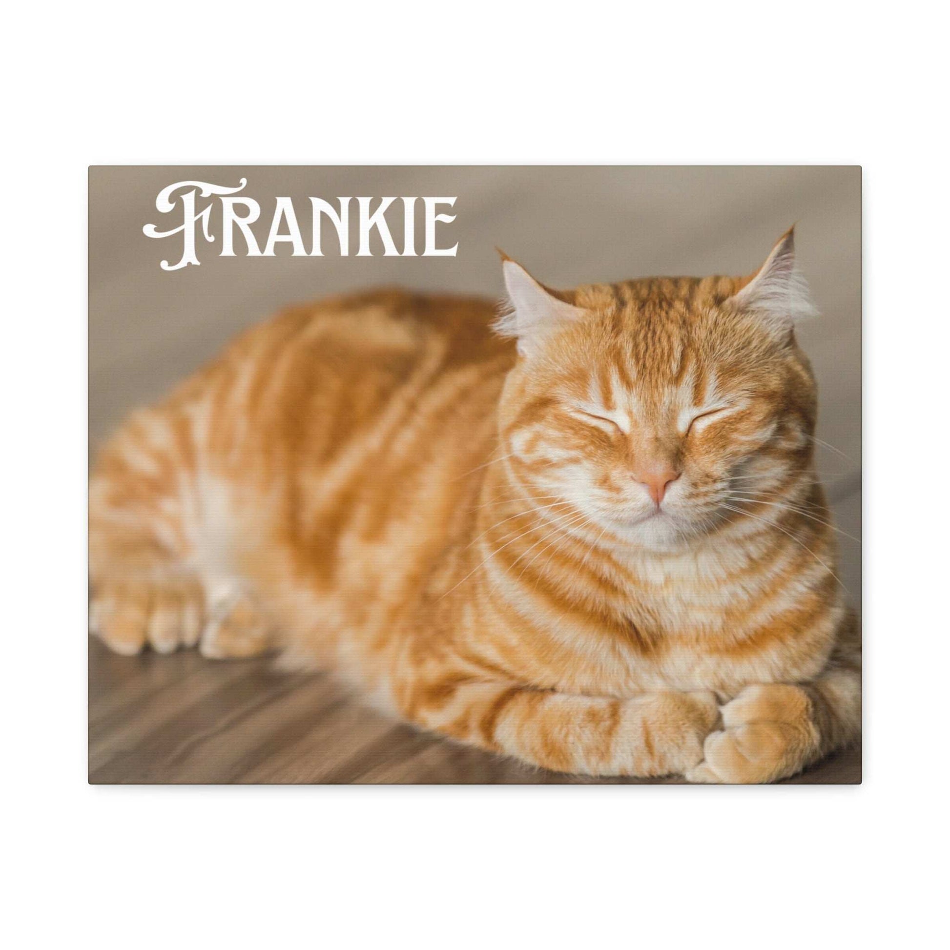 Personalized Landscape Photo Canvas Wall Art - Stretch Framed Print for Pet Lovers - Purrfect Pet Haven