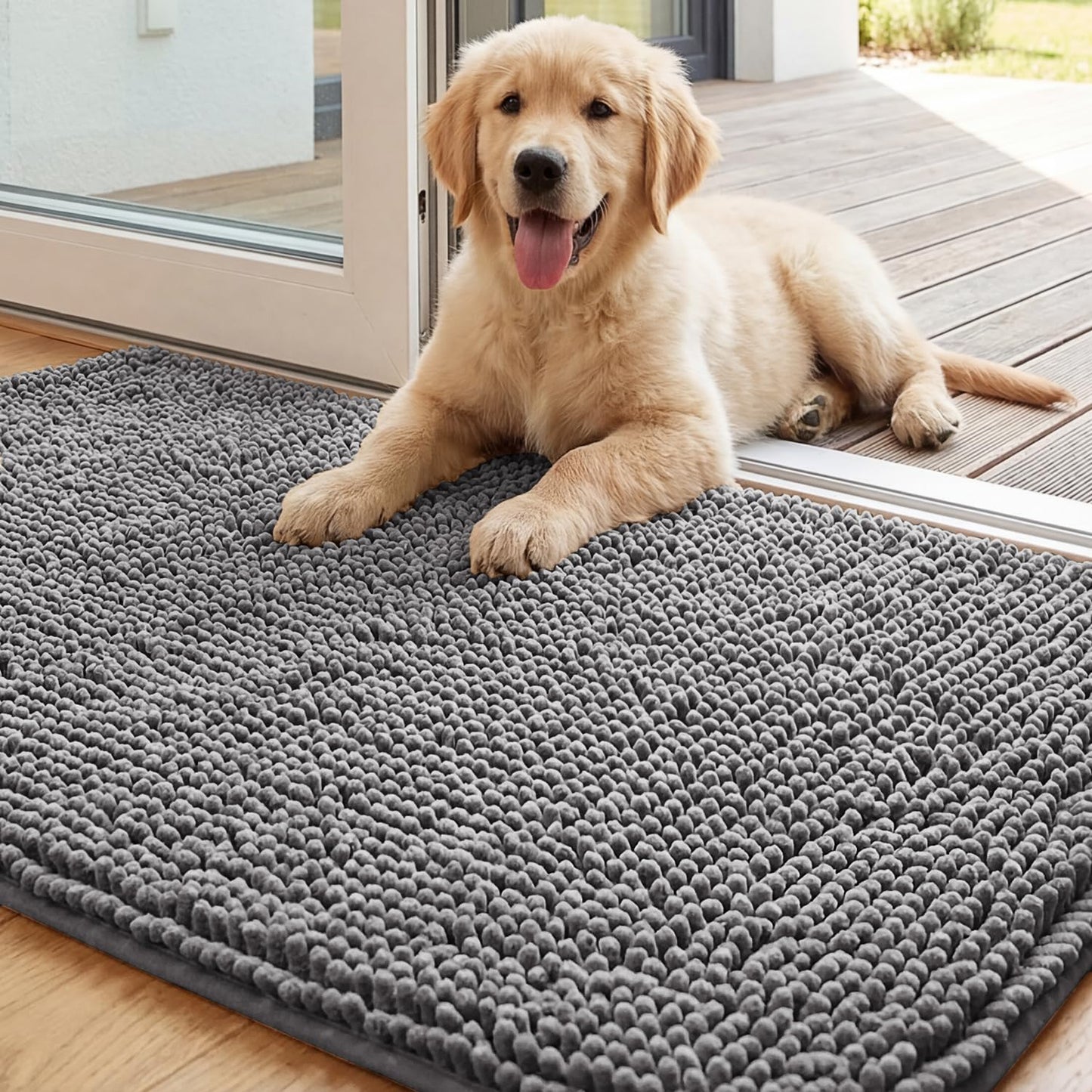 Dog on a gray doormat outside a house
