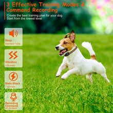 Dog Training Collar - Waterproof Remote With 3 Training Modes - Purrfect Pet Haven