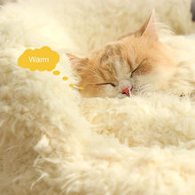 Alpaca Anti Slip Bottom Calming Raised Edges Pet Bed with Detachable Plush Pads - Purrfect Pet Haven
