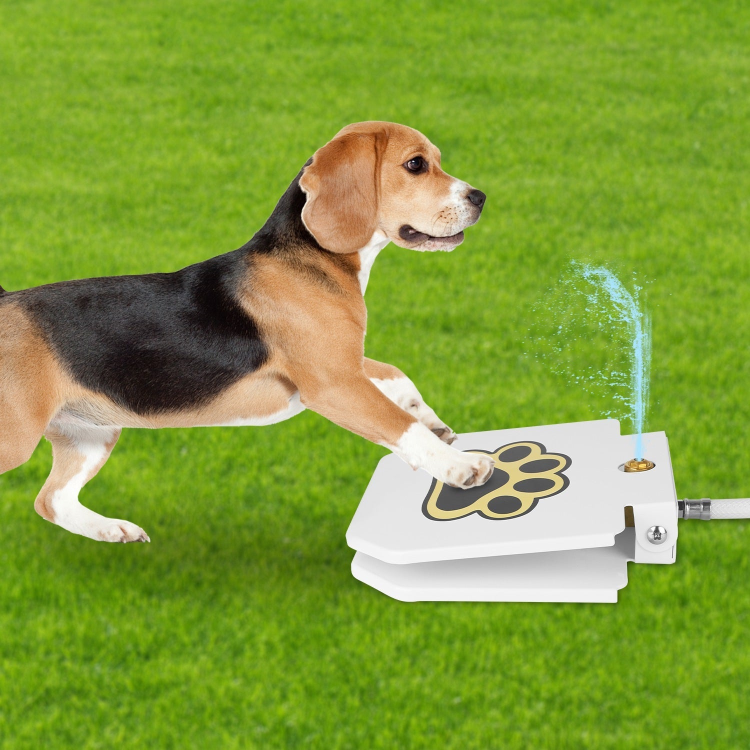 Outdoor Dog Water Fountain - Step-Activated Pedal - Purrfect Pet Haven