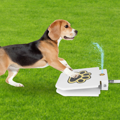 Outdoor Dog Water Fountain - Step-Activated Pedal - Purrfect Pet Haven