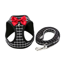 Cat Harness and Leash Set - Chest Strap - Purrfect Pet Haven