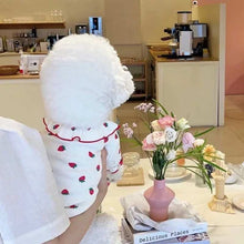 Summer Thin Lace Ruffle Strawberry Pet Cat Dog Clothes - Purrfect Pet Haven
