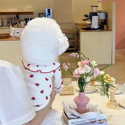 Summer Thin Lace Ruffle Strawberry Pet Cat Dog Clothes - Purrfect Pet Haven