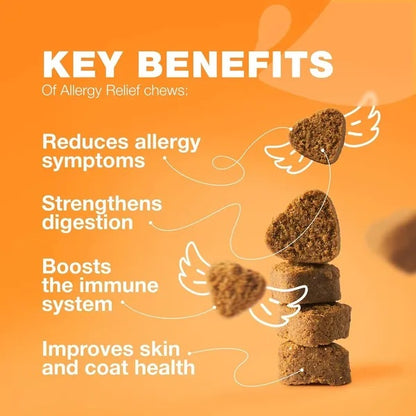 Dog Allergy Relief Chews - Itch Support - Purrfect Pet Haven