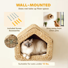 Seagrass Sky Pod - Wall Mounted Cat Hideaway - Purrfect Pet Haven