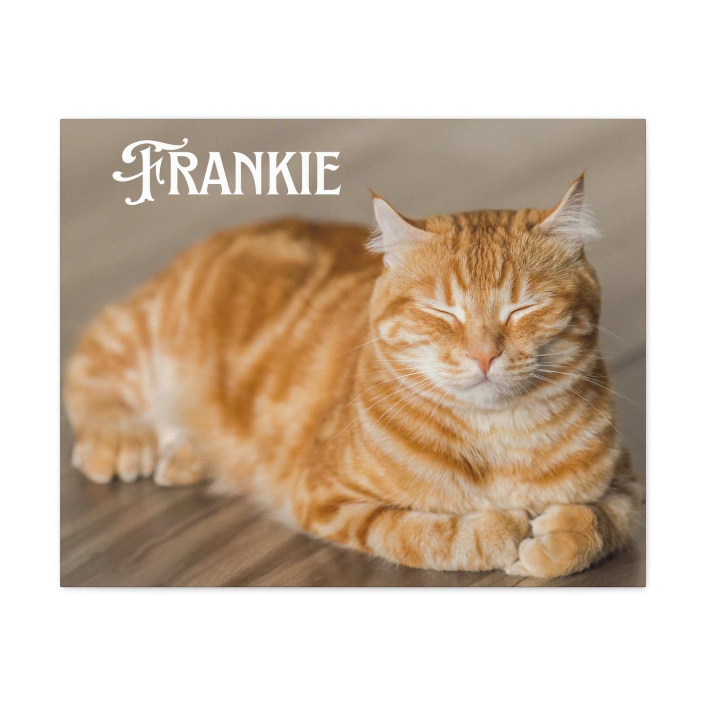 Personalized Landscape Photo Canvas Wall Art - Stretch Framed Print for Pet Lovers - Purrfect Pet Haven