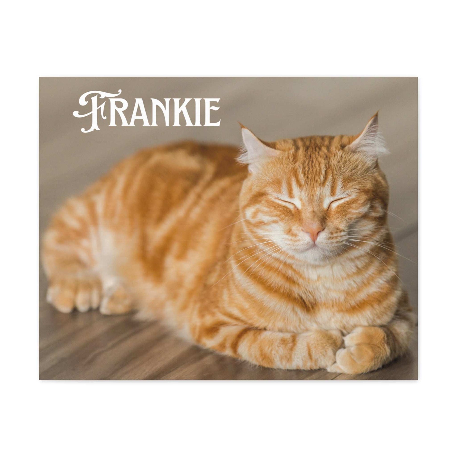 Personalized Landscape Photo Canvas Wall Art - Stretch Framed Print for Pet Lovers - Purrfect Pet Haven