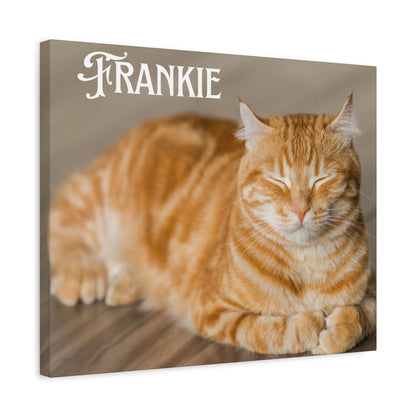 Personalized Landscape Photo Canvas Wall Art - Stretch Framed Print for Pet Lovers - Purrfect Pet Haven