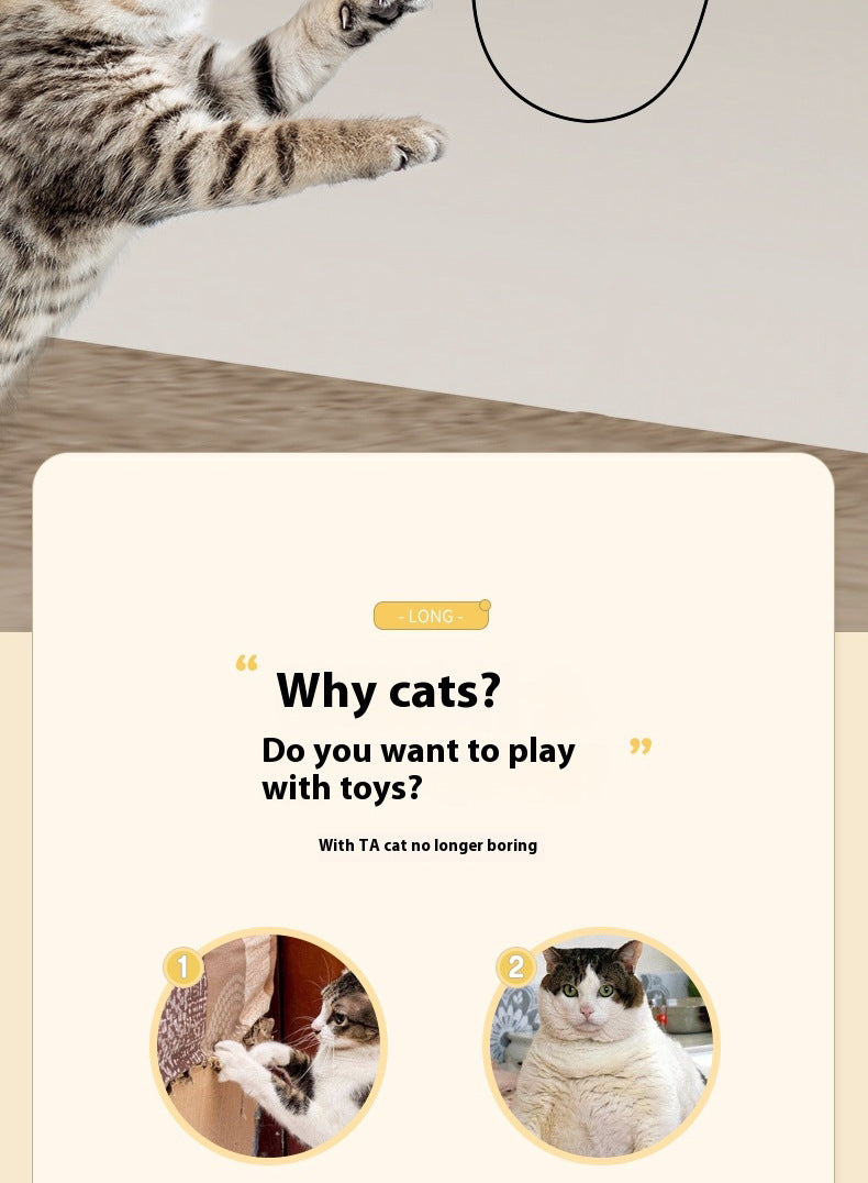 Interactive Cat Toy - Automatic Ball Motion - Purrfect Pet Haven