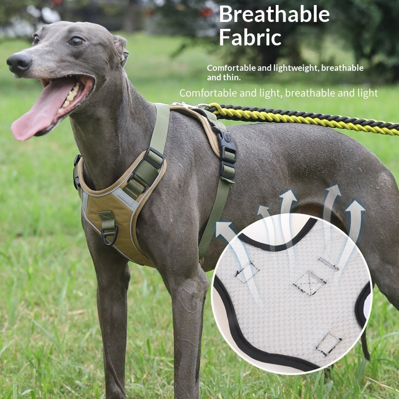 Dog Harness - Large Chest Style with Leash - Purrfect Pet Haven