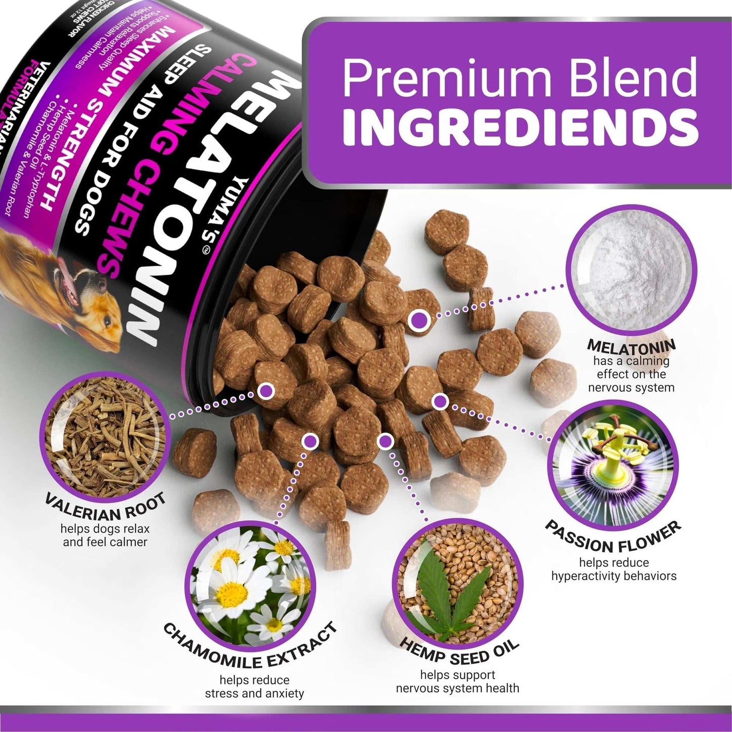 Do Not Sell On Amazon Melatonin Calming Chews For Dogs 170 Chews Dog Stress And Anxiety Relief - Purrfect Pet Haven