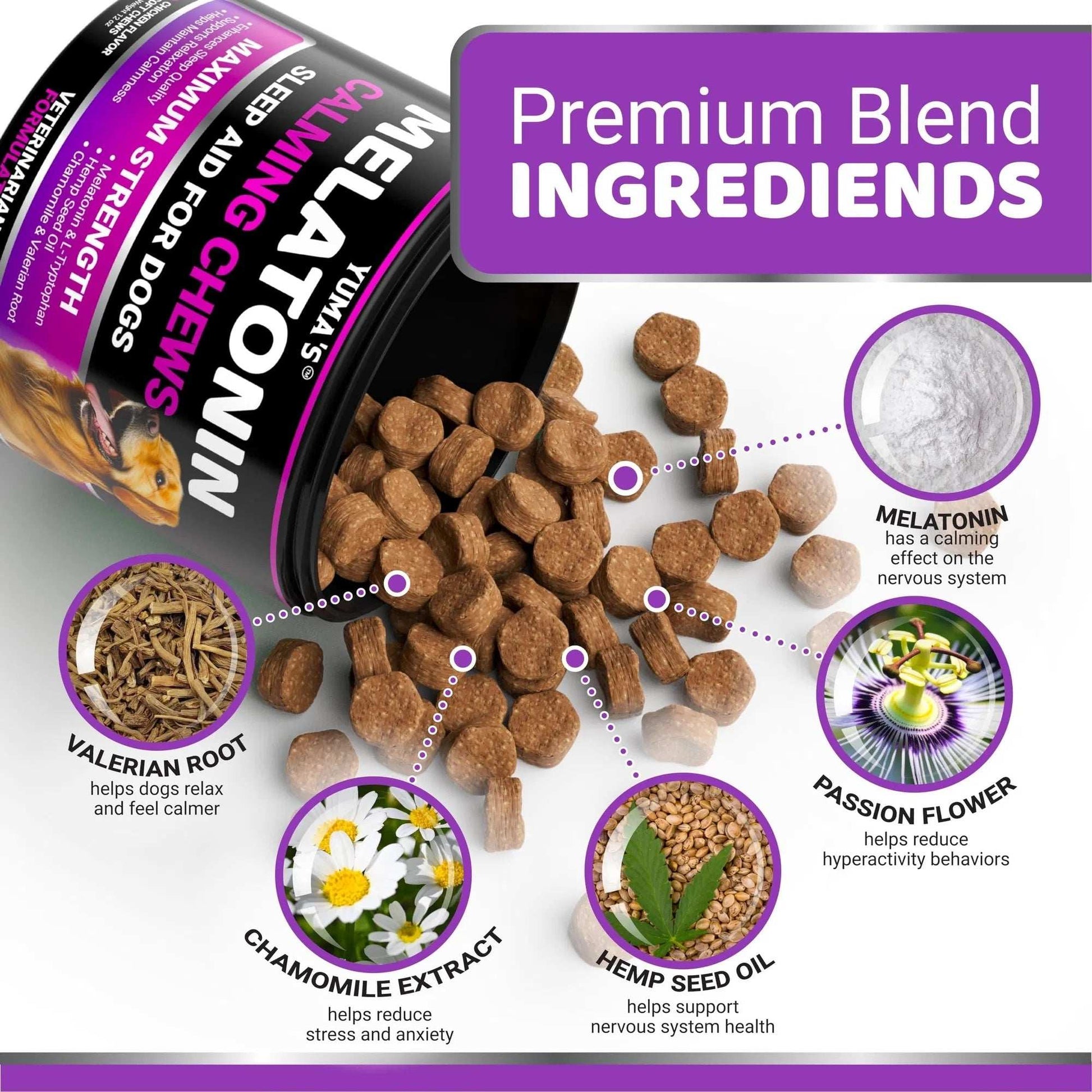 Do Not Sell On Amazon Melatonin Calming Chews For Dogs 170 Chews Dog Stress And Anxiety Relief - Purrfect Pet Haven
